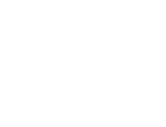 Kenshin Magicien